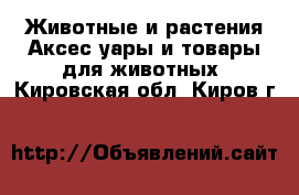 Животные и растения Аксесcуары и товары для животных. Кировская обл.,Киров г.